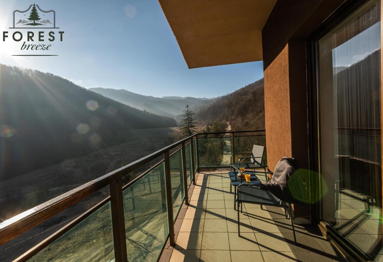 Forest Breeze Apartterrace Brašov Exteriér fotografie