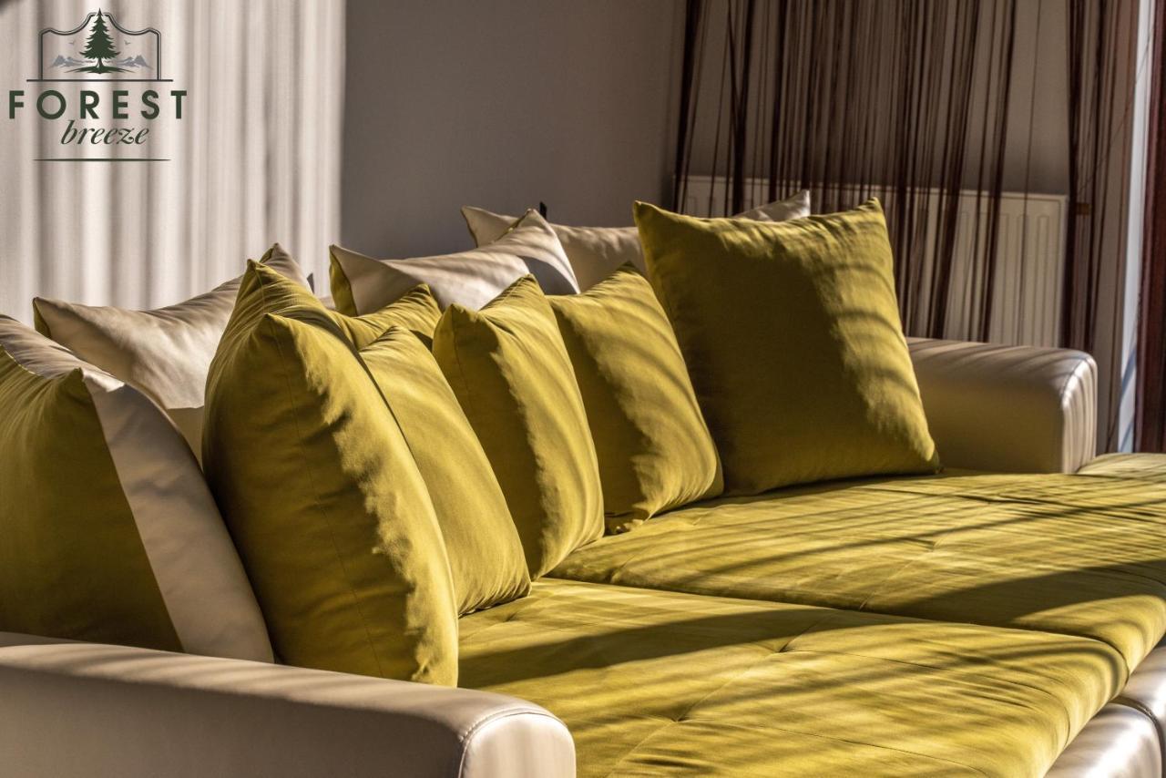 Forest Breeze Apartterrace Brašov Exteriér fotografie