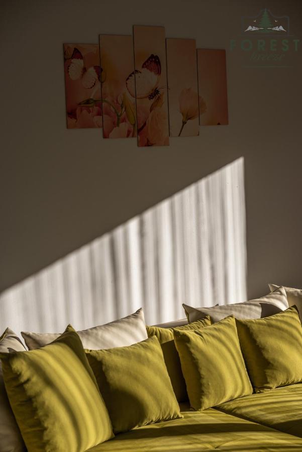 Forest Breeze Apartterrace Brašov Exteriér fotografie