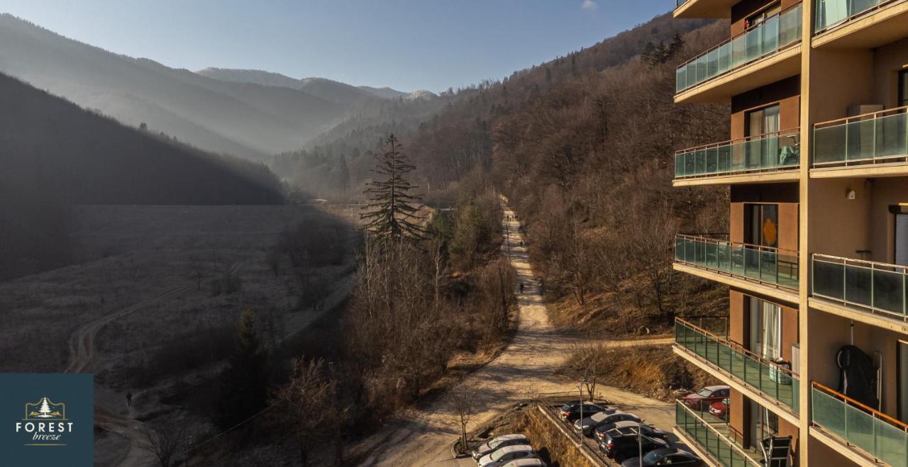 Forest Breeze Apartterrace Brašov Exteriér fotografie