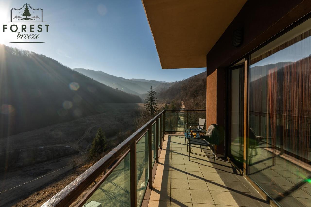 Forest Breeze Apartterrace Brašov Exteriér fotografie