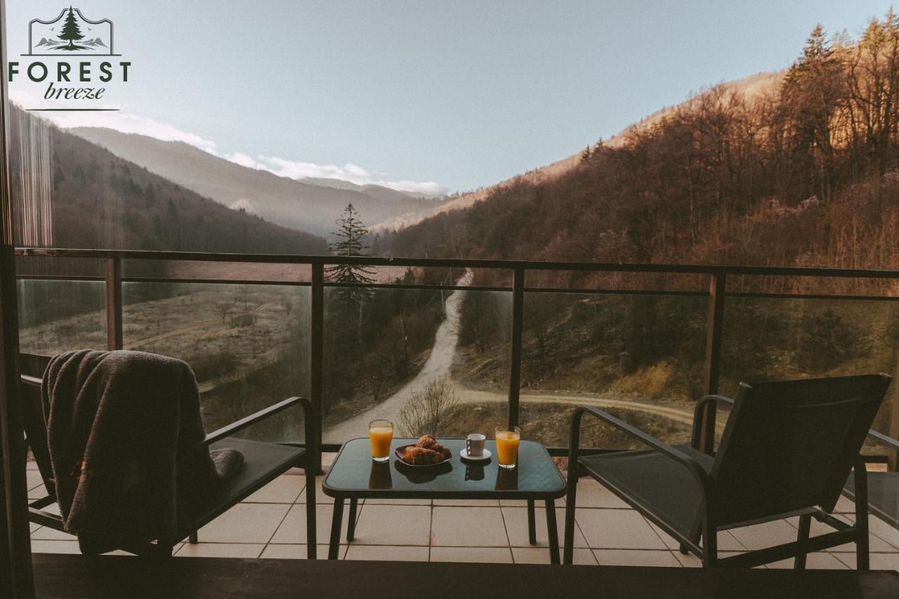 Forest Breeze Apartterrace Brašov Exteriér fotografie