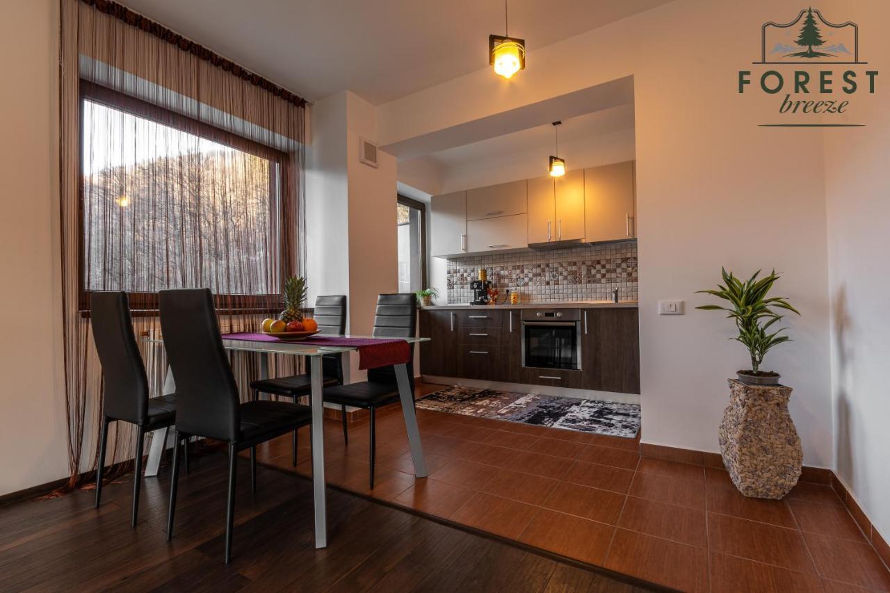 Forest Breeze Apartterrace Brašov Exteriér fotografie