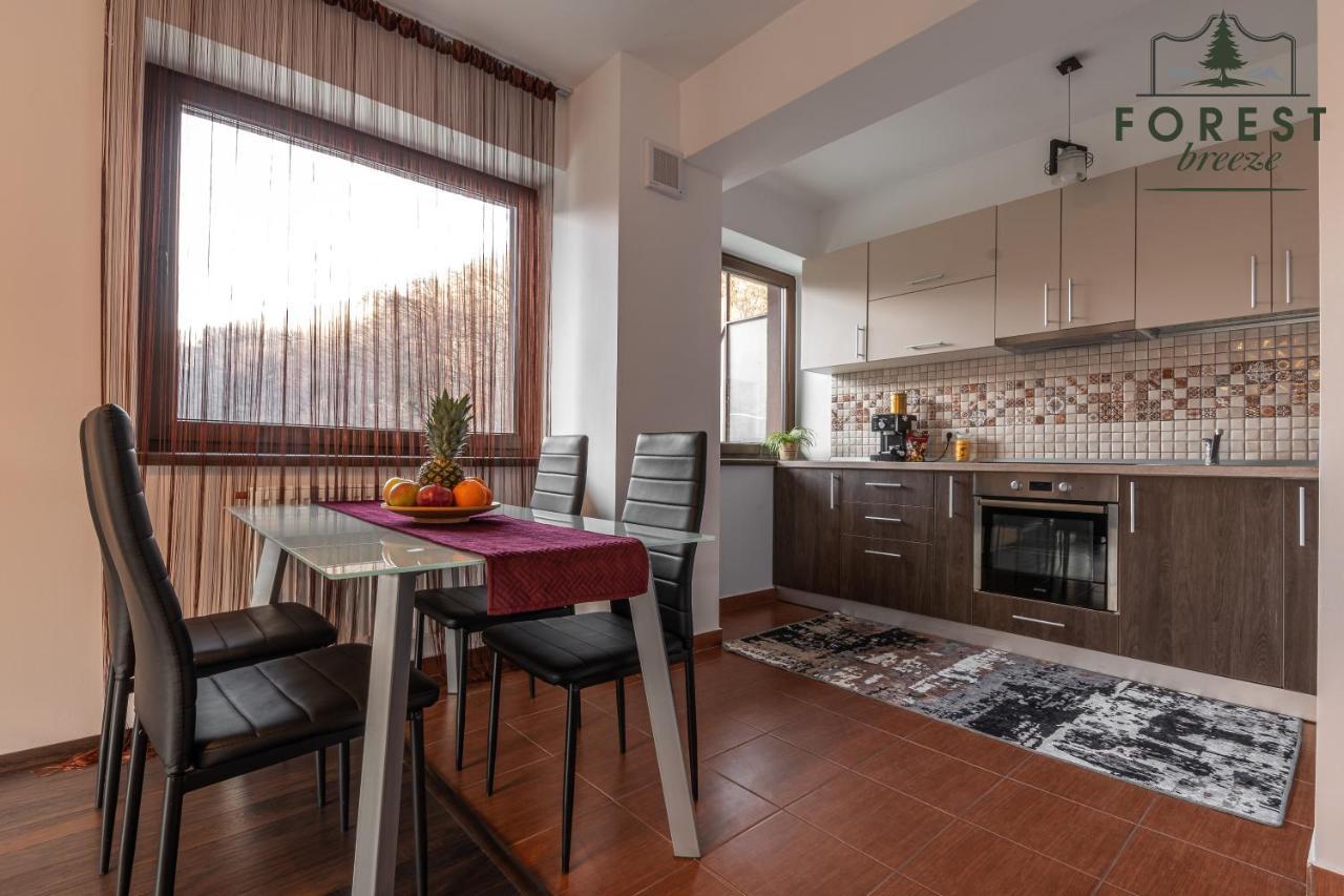 Forest Breeze Apartterrace Brašov Exteriér fotografie