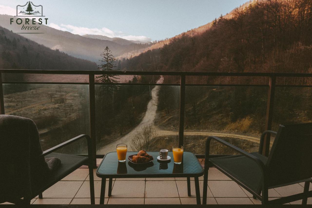 Forest Breeze Apartterrace Brašov Exteriér fotografie