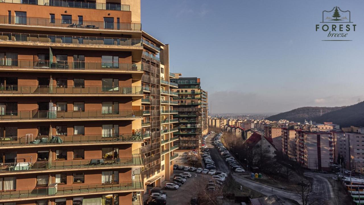 Forest Breeze Apartterrace Brašov Exteriér fotografie