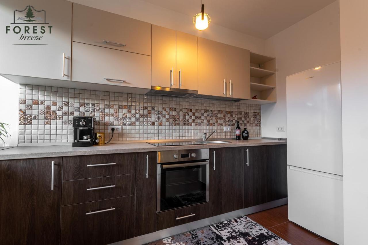 Forest Breeze Apartterrace Brašov Exteriér fotografie