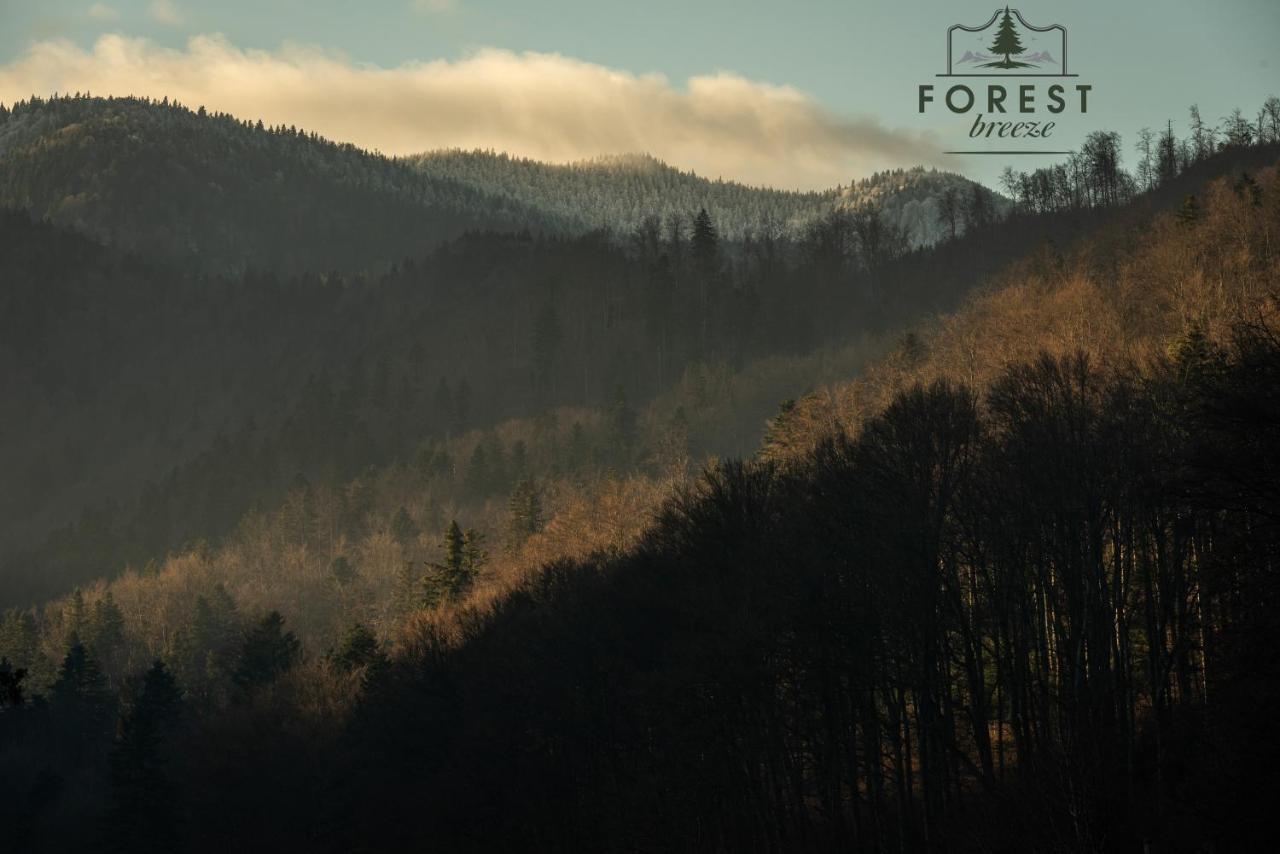 Forest Breeze Apartterrace Brašov Exteriér fotografie