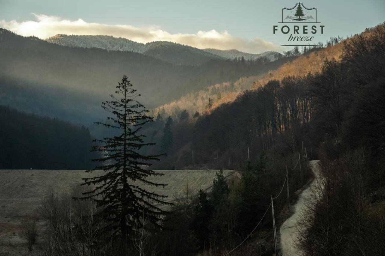 Forest Breeze Apartterrace Brašov Exteriér fotografie