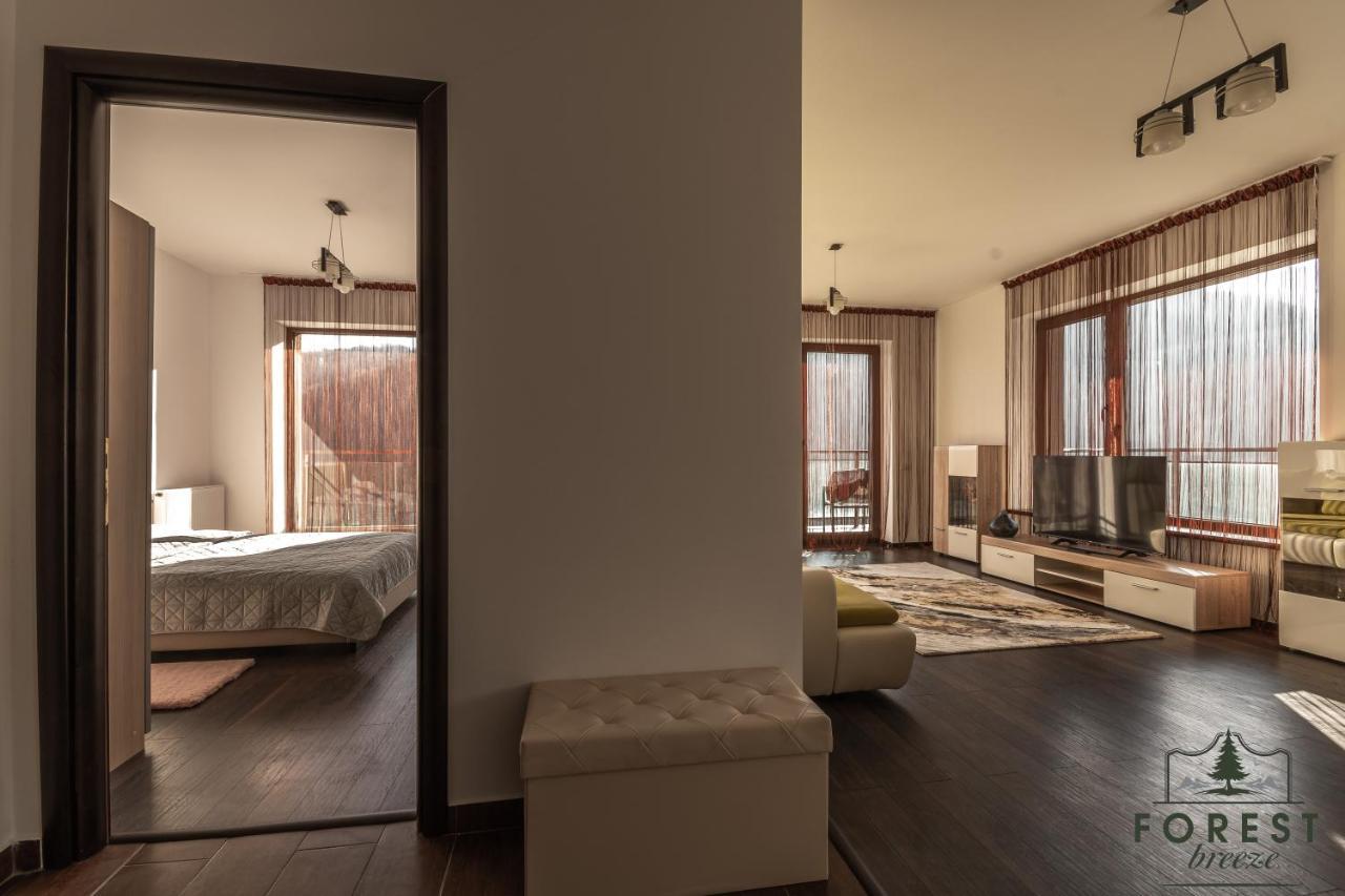 Forest Breeze Apartterrace Brašov Exteriér fotografie