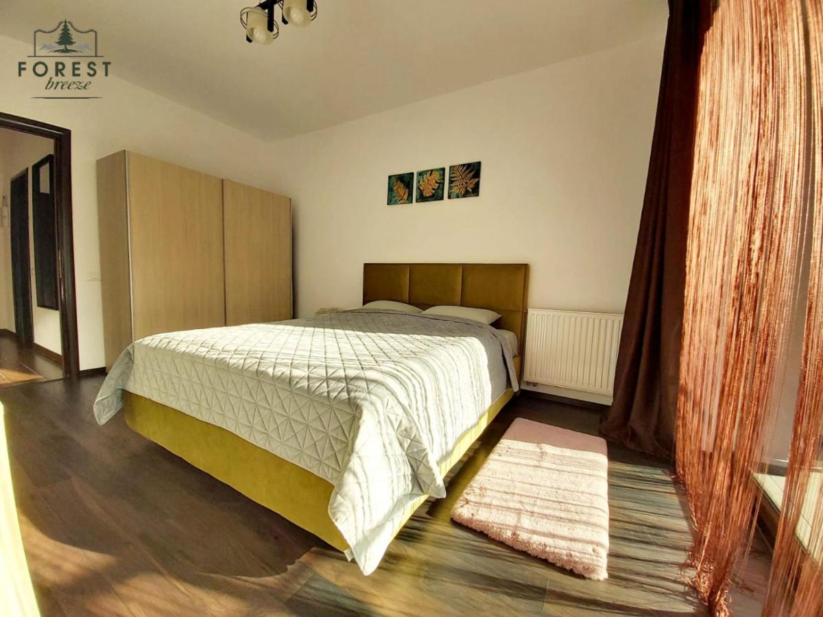 Forest Breeze Apartterrace Brašov Exteriér fotografie
