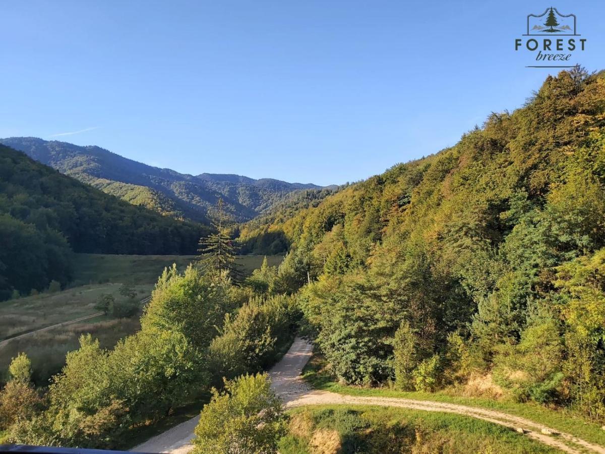 Forest Breeze Apartterrace Brašov Exteriér fotografie
