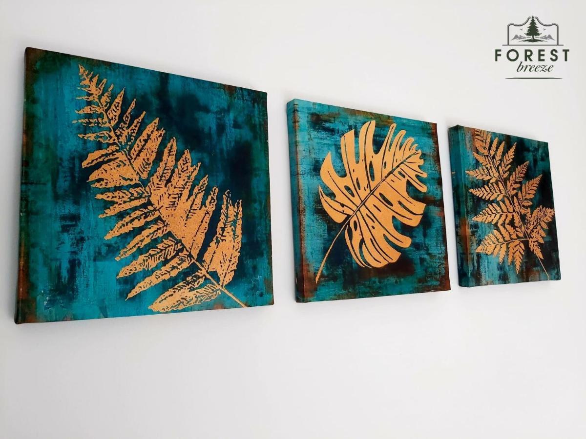 Forest Breeze Apartterrace Brašov Exteriér fotografie