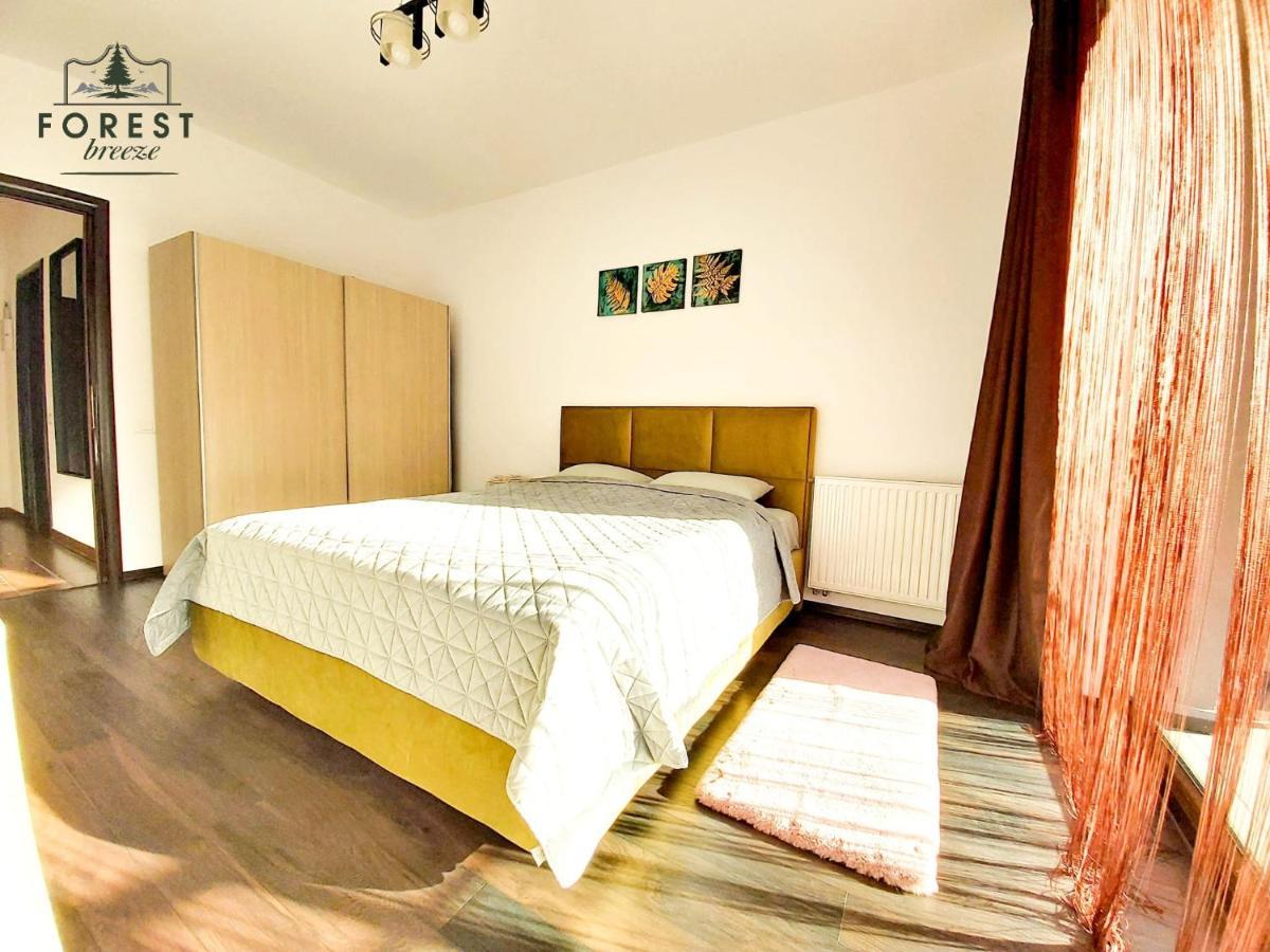Forest Breeze Apartterrace Brašov Exteriér fotografie