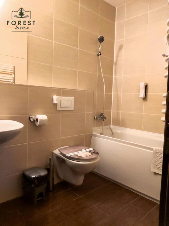 Forest Breeze Apartterrace Brašov Exteriér fotografie
