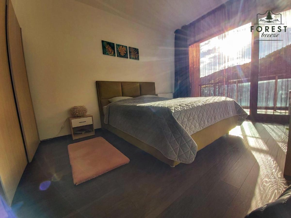 Forest Breeze Apartterrace Brašov Exteriér fotografie