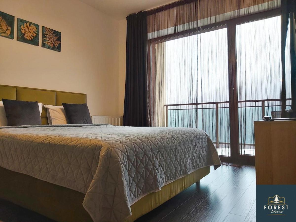 Forest Breeze Apartterrace Brašov Exteriér fotografie